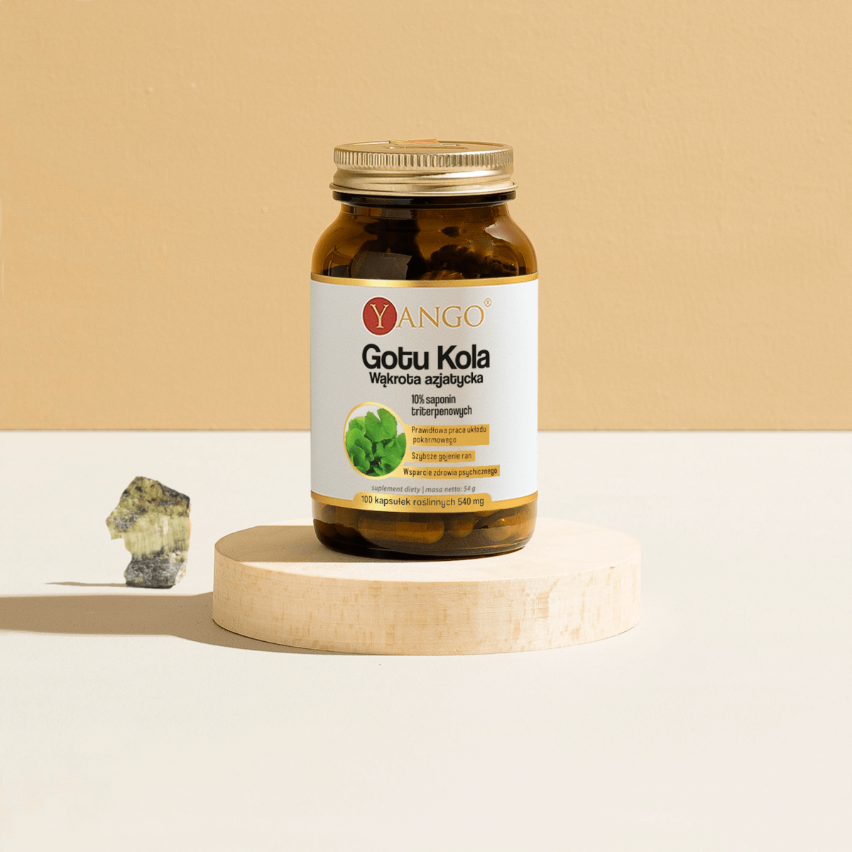 Gotu-kola-10%-saponin–100-kapsułek-Centella asiatica-Herbalovo-na-pamięć-i-koncentrację