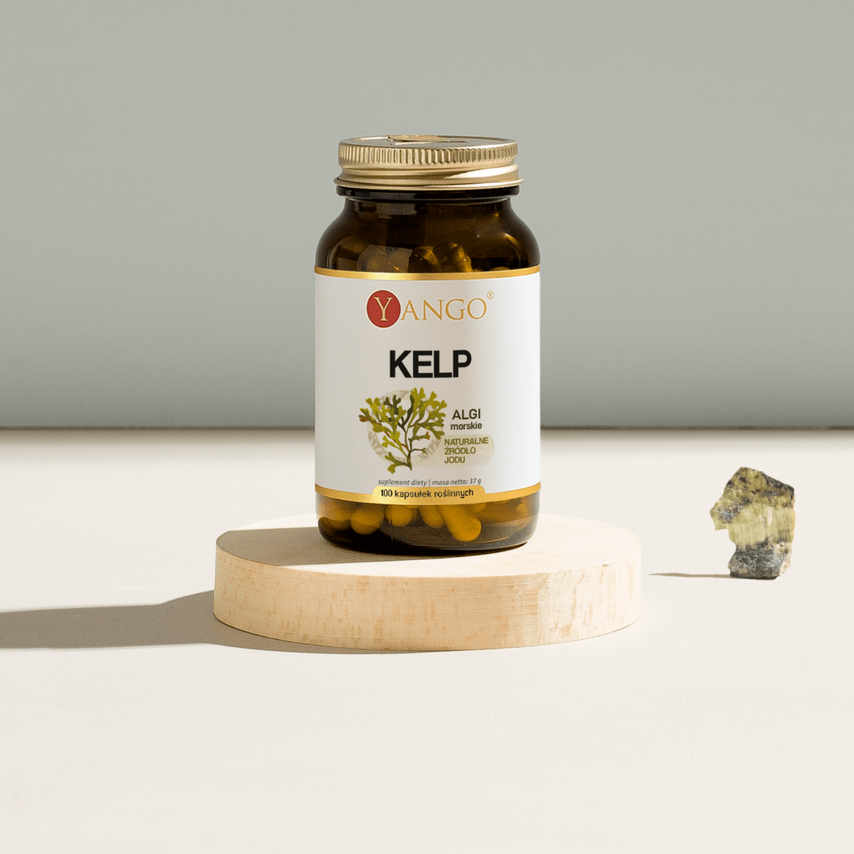 kelp-100-kapsulek-1.png