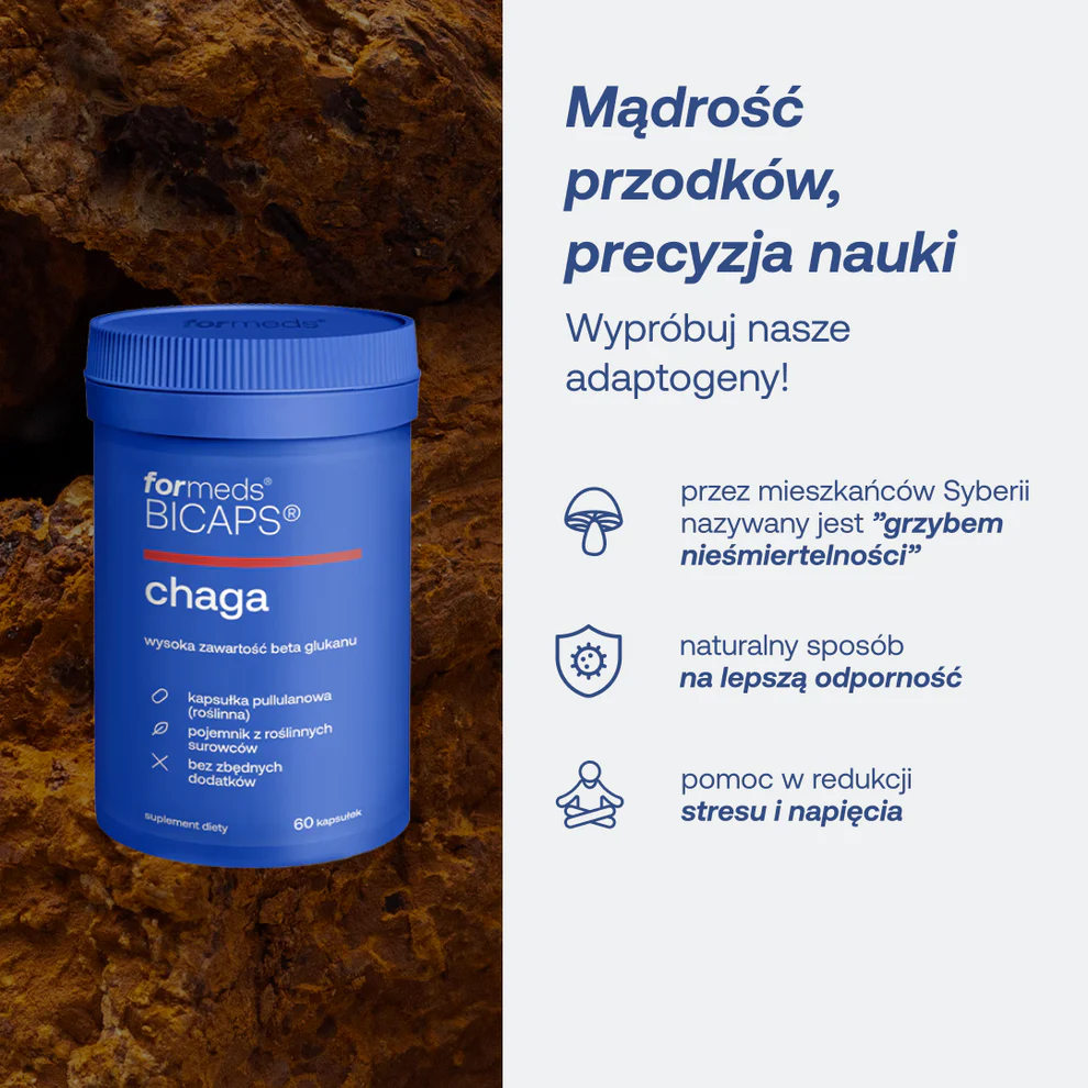chaga3
