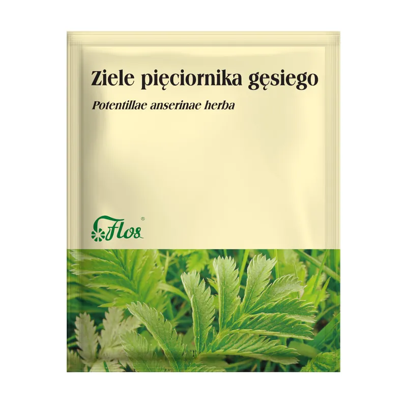 pięciornik-ziele-ziolo-herbalovo.webp