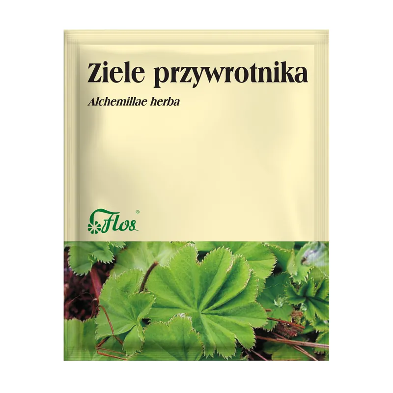 przywrotnik-zioło-krwawienie-herbalovo.webp