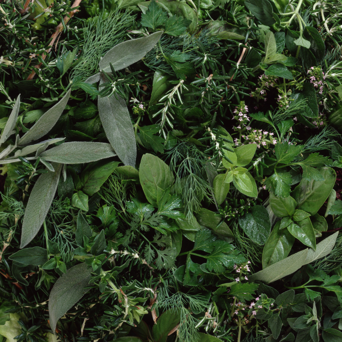 baner-blog.webp