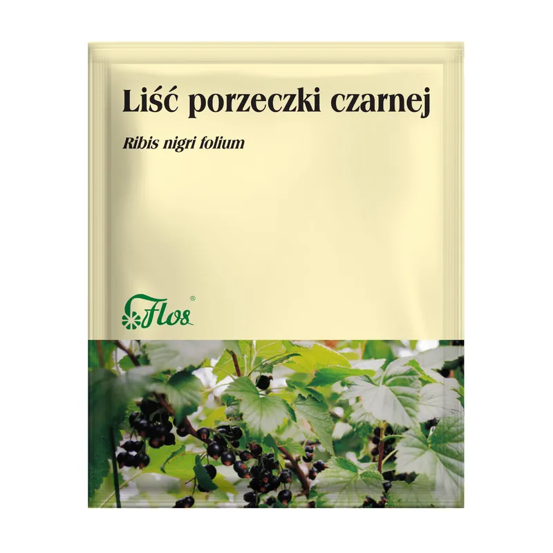 porzeczka-liść-ziolo-stawy-trawienie.webp
